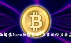 一次全面解读Juno加密货币：未来的潜力与应用前