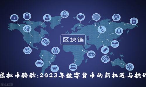 虚拟币骆驼：2023年数字货币的新机遇与挑战