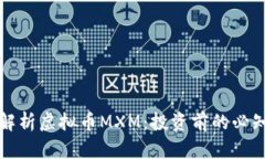 全面解析虚拟币MXM：投资前的必知信息