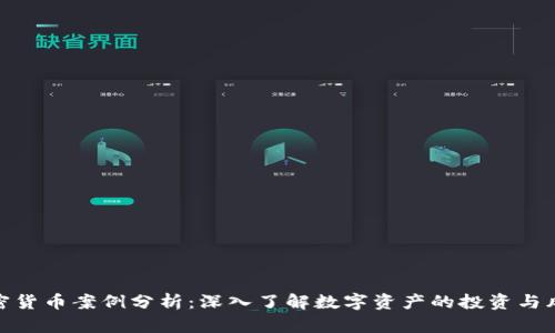 加密货币案例分析：深入了解数字资产的投资与风险