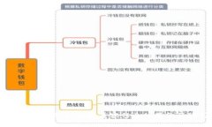 毛发加密货币：颠覆美容行业的新金融模式