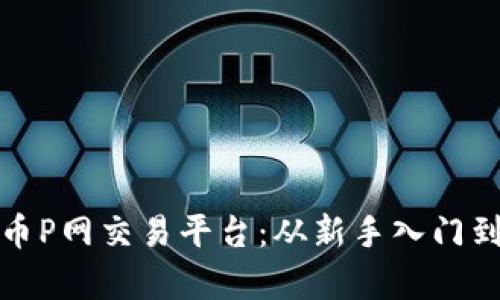 全面解析虚拟币P网交易平台：从新手入门到高阶交易策略