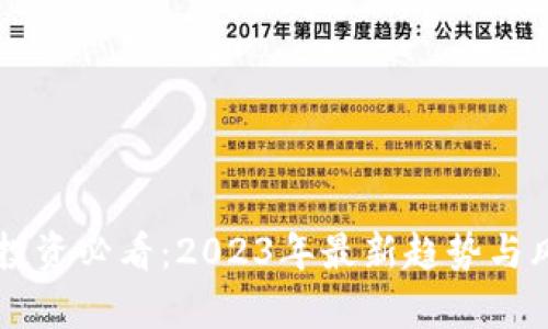 虚拟币投资必看：2023年最新趋势与风险分析