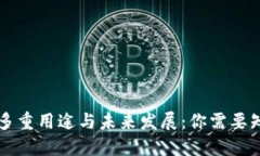 虚拟币的多重用途与未来发展：你需要知道的一
