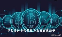 中巴虚拟币的崛起与未来发展趋势
