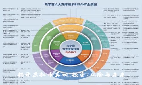 揭开虚拟币真相：投资、风险与未来