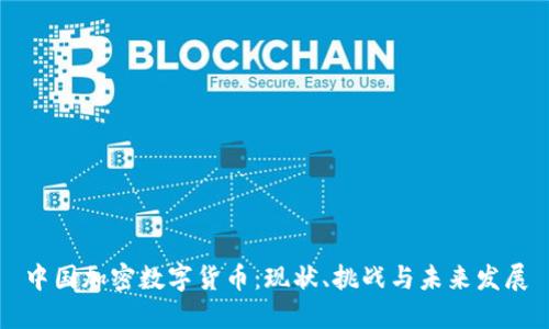 中国加密数字货币：现状、挑战与未来发展