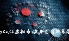 PayCash虚拟币：未来支付的革命者