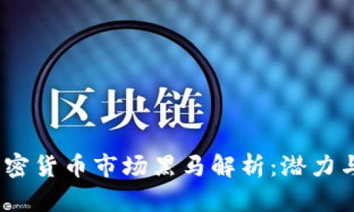 2023年加密货币市场黑马解析：潜力与风险并存