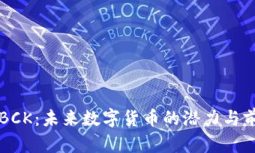 虚拟币BCK：未来数字货币的潜力与前景分析