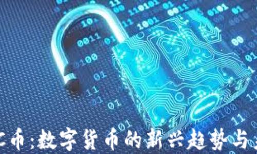
虚拟DCC币：数字货币的新兴趋势与未来展望