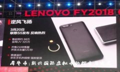 犀牛币：新兴国际虚拟币的探索与发展
