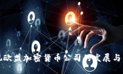 透视欧盟加密货币公司的发展与未来
