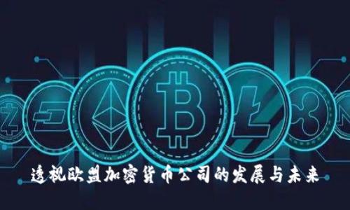 透视欧盟加密货币公司的发展与未来