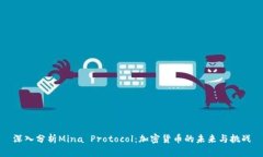 深入分析Mina Protocol：加密货币的未来与挑战