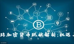2023年王玮加密货币现状解析：机遇与挑战并存