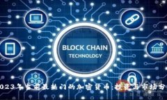 2023年当前最热门的加密货币：投资与市场分析