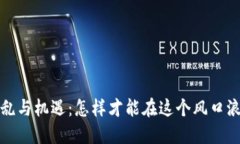加密货币的混乱与机遇：怎样才能在这个风口浪