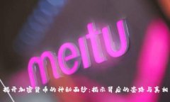 揭开加密货币的神秘面纱：揭示背后的套路与真