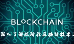 公链加密货币：深入了解现阶段区块链技术与未