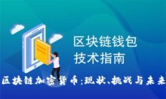 国产区块链加密货币：现状、挑战与未来机遇