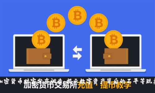 加密货币财富分布调查：揭示数字资产背后的不平等现象