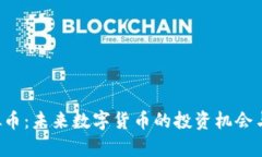 SDWC虚拟币：未来数字货币的投资机会与风险分析