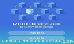 全面解析：如何选择适合你的iOS虚拟币钱包