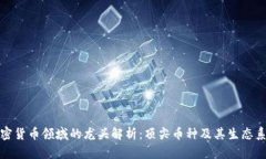 加密货币领域的龙头解析：顶尖币种及其生态系