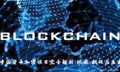 中国货币加密项目完全解析：现状、挑战与未来