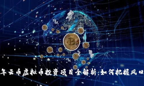 2023年云币虚拟币投资项目全解析：如何把握风口机会？