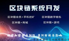 揭密加密货币销毁：案例分析与影响