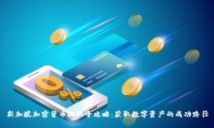 新加坡加密货币提取全攻略：获取数字资产的成