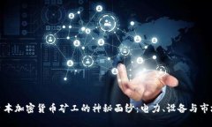 揭开日本加密货币矿工的神秘面纱：电力、设备
