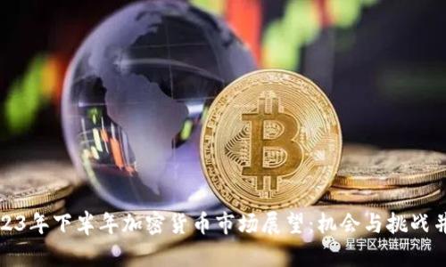 2023年下半年加密货币市场展望：机会与挑战并存