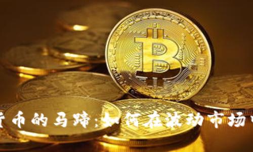 揭秘加密货币的马蹄：如何在波动市场中稳健投资