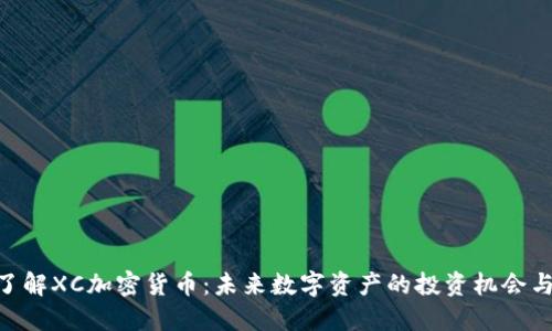 : 深入了解XC加密货币：未来数字资产的投资机会与风险i/i