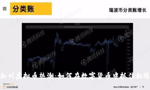 加州虚拟币热潮：如何在数字货币中抓住机遇