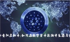 探秘贵阳虚拟币：如何在数字货币浪潮中生存与