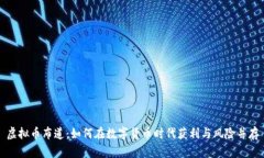 虚拟币布道：如何在数字货币时代获利与风险并