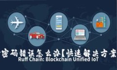 虚拟币支付密码错误怎么办？快速解决方案与预