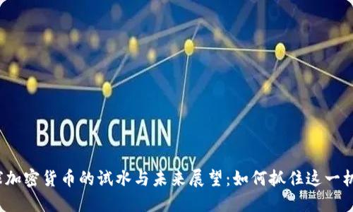 全球加密货币的试水与未来展望：如何抓住这一机遇？