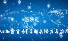 何为AE加密货币？了解其潜力与应用价值