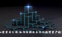 海南加密货币公司：如何选择适合你的数字资产