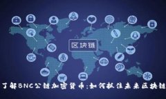 深入了解BNC公链加密货币：如何抓住未来区块链