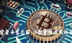 揭秘加密货币生态圈：从投资到应用的全景解析