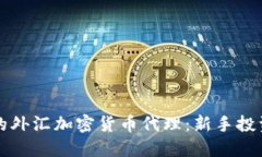 如何选择理想的外汇加密货币代理：新手投资者