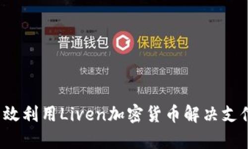 如何有效利用Liven加密货币解决支付痛点？