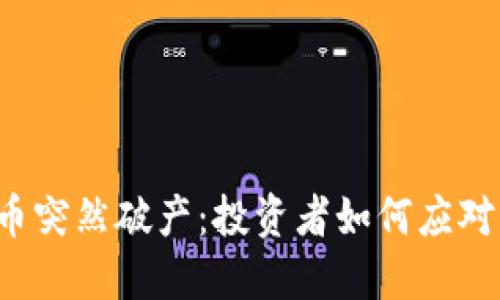 上市虚拟币突然破产：投资者如何应对市场危机？