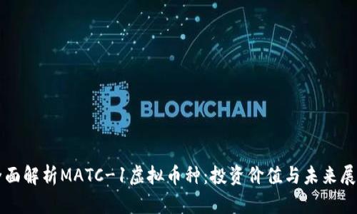 全面解析MATC-1虚拟币种:投资价值与未来展望